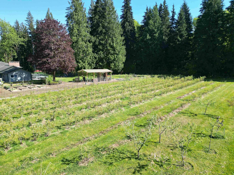 25908 124 Avenue, Maple Ridge, BC, V4R 1B8 - 5