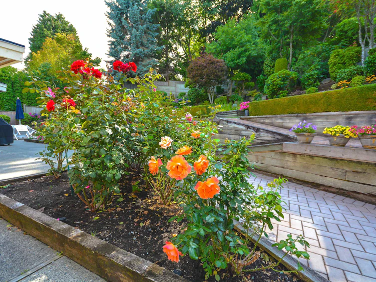 4704 Stahaken Place, Delta, BC, V4M 4B3 - 7