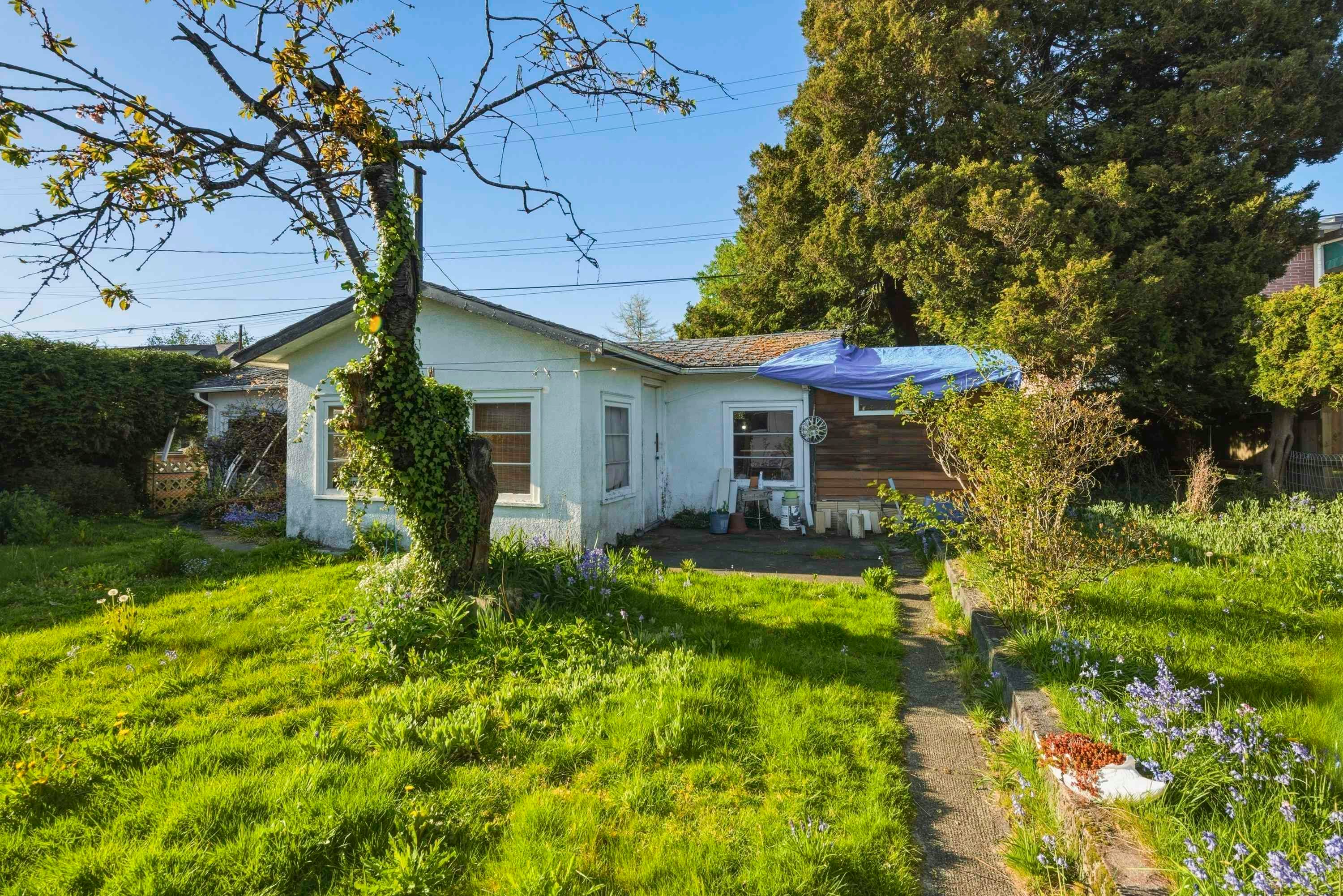 433 E 48th Avenue - 4
