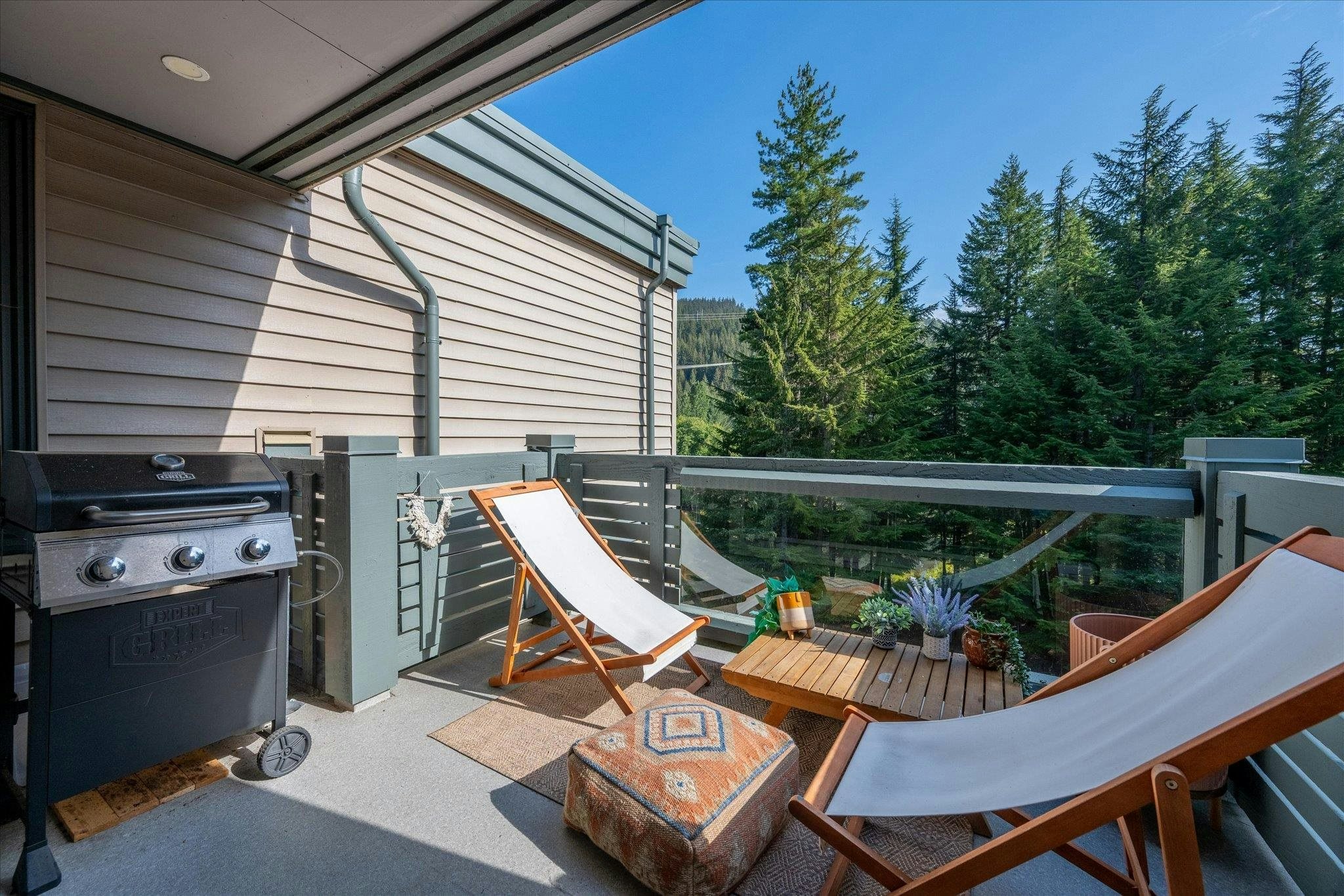 JP1-1400 Alta Lake Rd Road, Whistler, BC, V8E 0G9 - 8