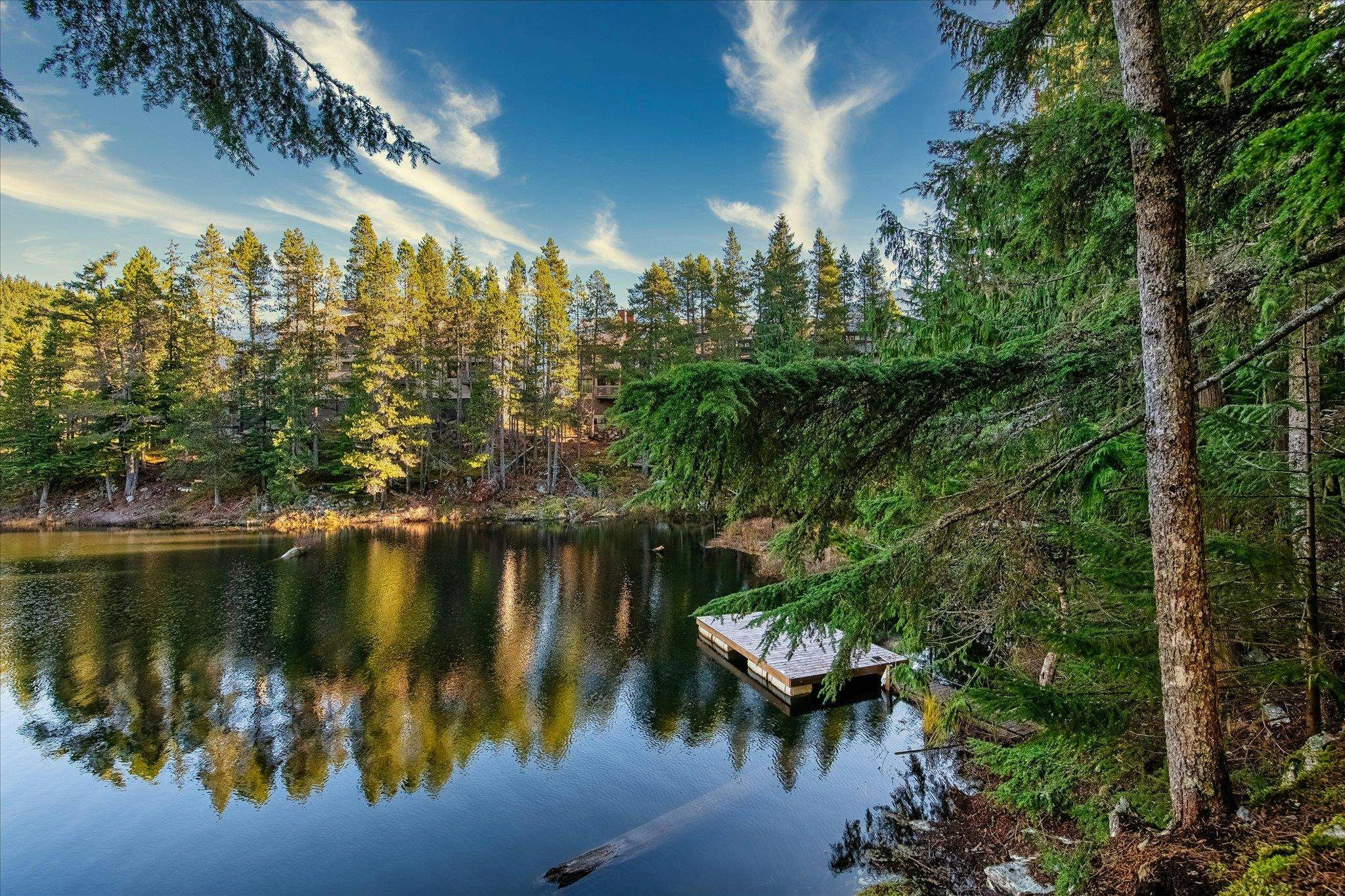JP1-1400 Alta Lake Rd Road, Whistler, BC, V8E 0G9 - 23