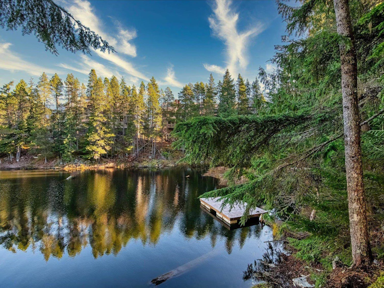 JP1-1400 Alta Lake Rd Road, Whistler, BC, V8E 0G9 - 23