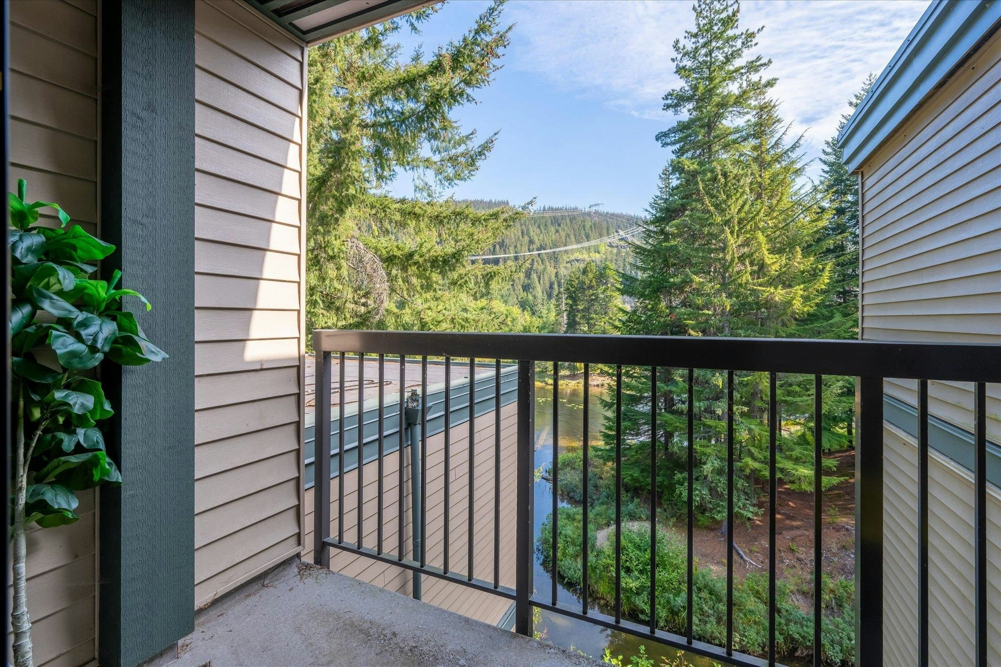 JP1-1400 Alta Lake Rd Road, Whistler, BC, V8E 0G9 - 20