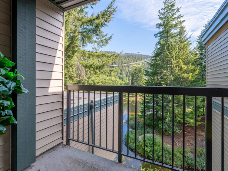 JP1-1400 Alta Lake Rd Road, Whistler, BC, V8E 0G9 - 20