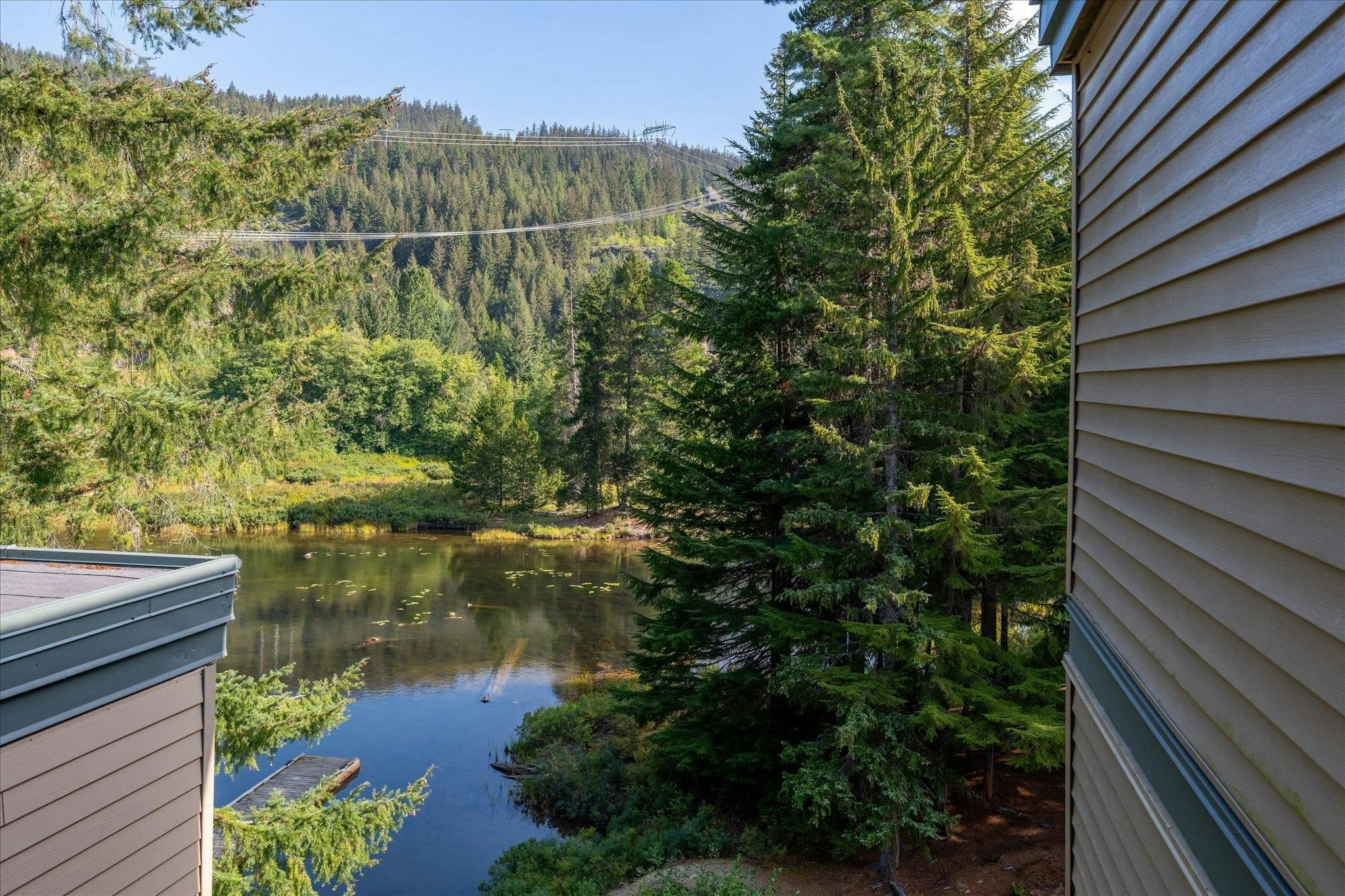 JP1-1400 Alta Lake Rd Road, Whistler, BC, V8E 0G9 - 21