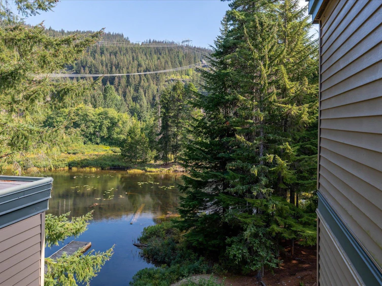 JP1-1400 Alta Lake Rd Road, Whistler, BC, V8E 0G9 - 21