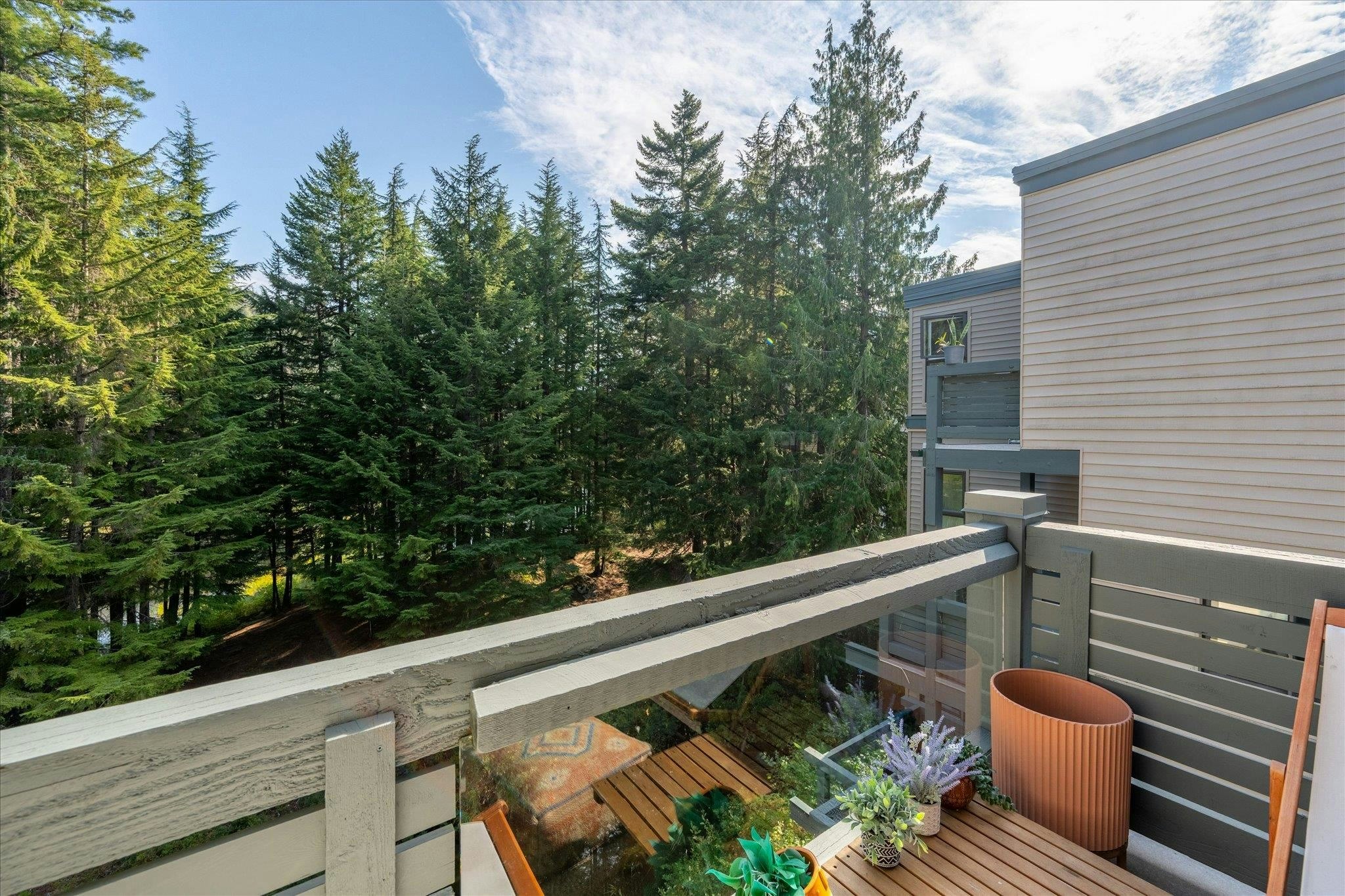 JP1-1400 Alta Lake Rd Road, Whistler, BC, V8E 0G9 - 9