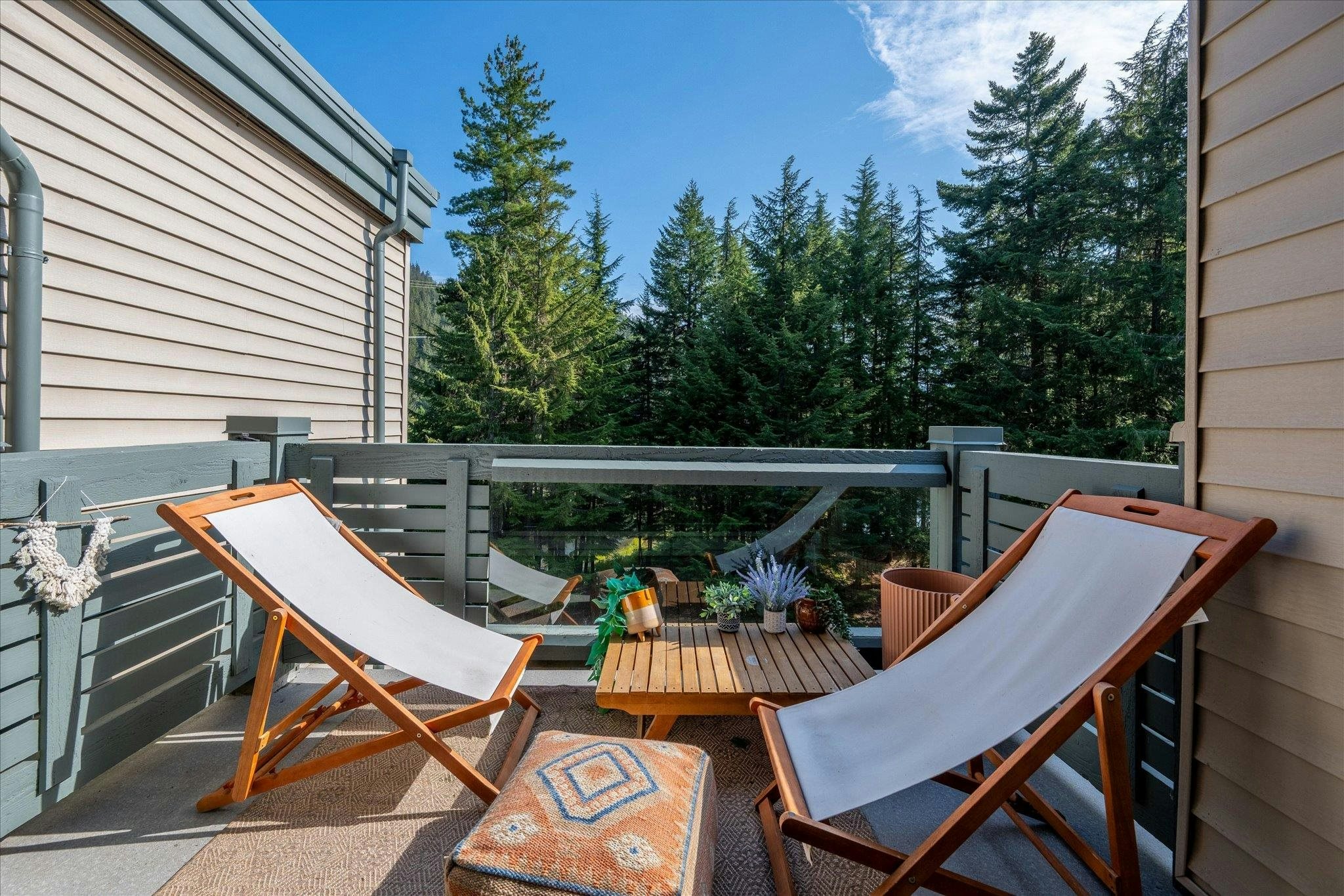 JP1-1400 Alta Lake Rd Road, Whistler, BC, V8E 0G9 - 7
