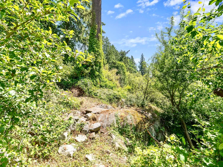 4704 Dogwood Lane, West Vancouver, BC, V7W 1J1 - 14
