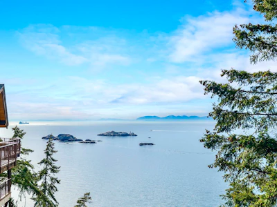 5295 Gulf Place - 4