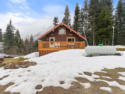20805 Mt Downing Road - 2