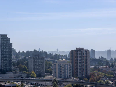 1906-3771 Bartlett Court - 4