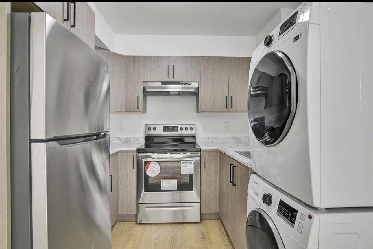 Basement Suite-16700 20a Avenue, Surrey, BC, V3Z 1H1 - 14