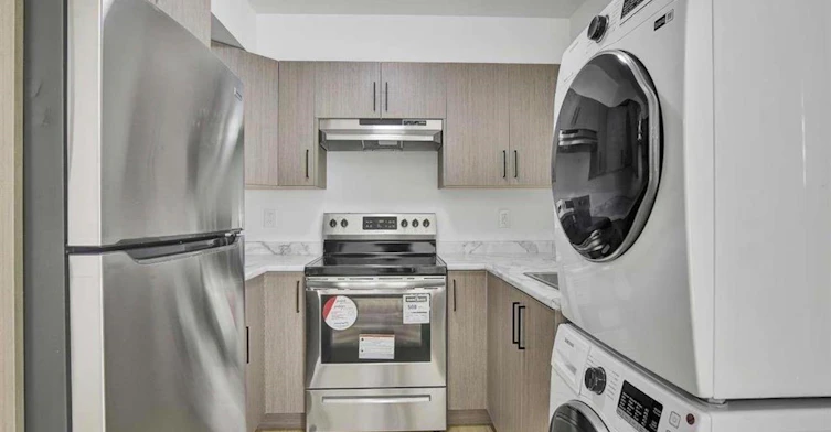 Basement Suite-16700 20a Avenue, Surrey, BC, V3Z 1H1 - 14