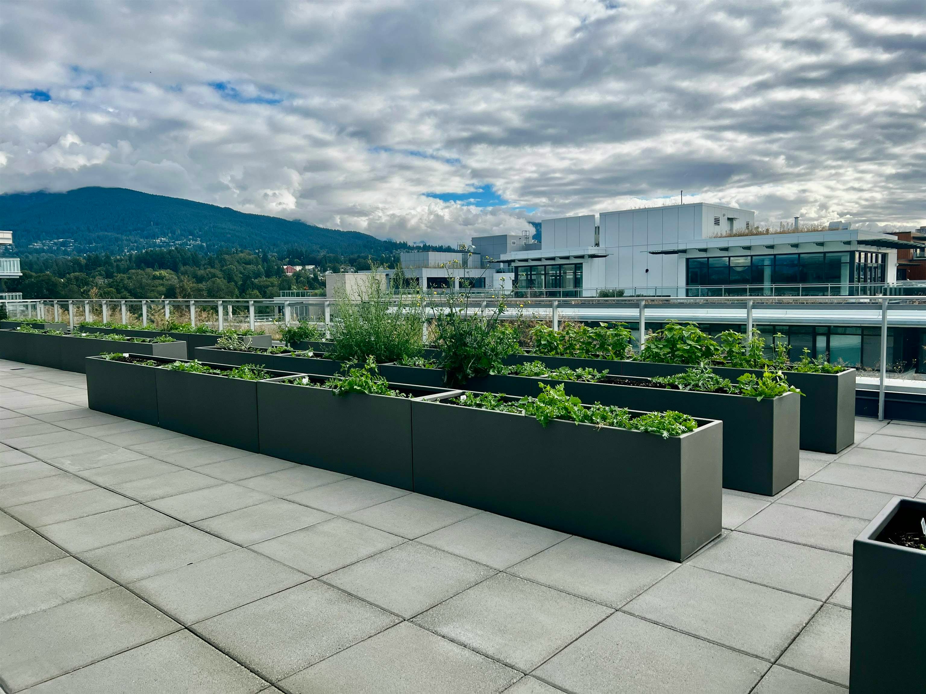 4F-785 Harbour Way, North Vancouver, BC, V7P 0G3 - 23