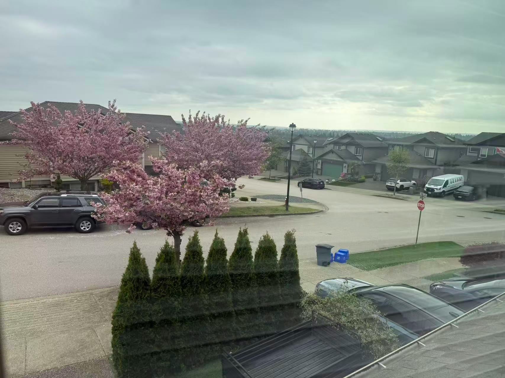 23611 Bryant Drive, Maple Ridge, BC, V4R 0B7 - 6