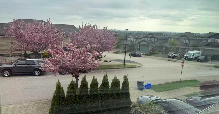 23611 Bryant Drive, Maple Ridge, BC, V4R 0B7 - 6