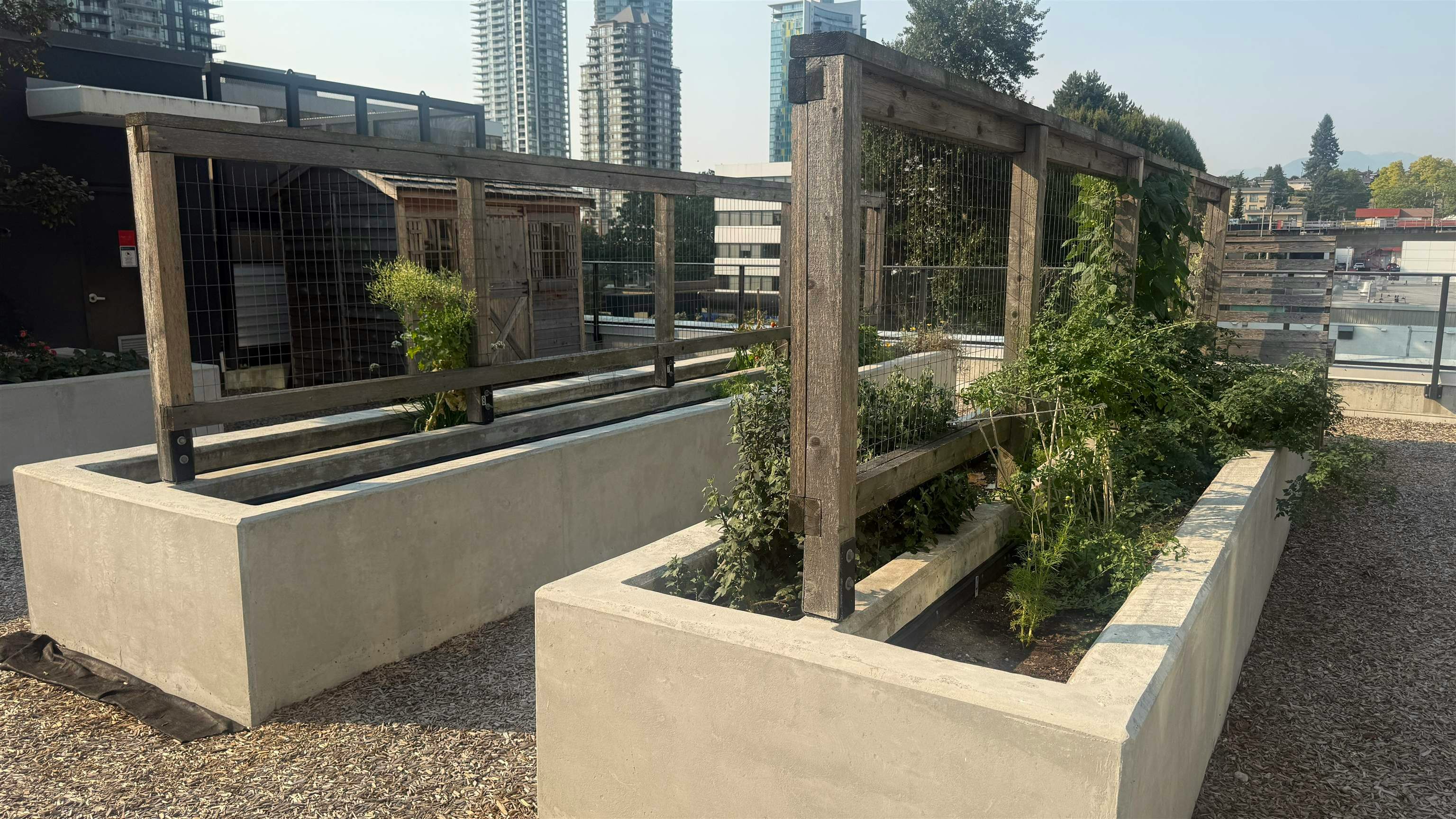 33xx-2181 Madison Avenue, Burnaby, BC, V5C 0N4 - 10