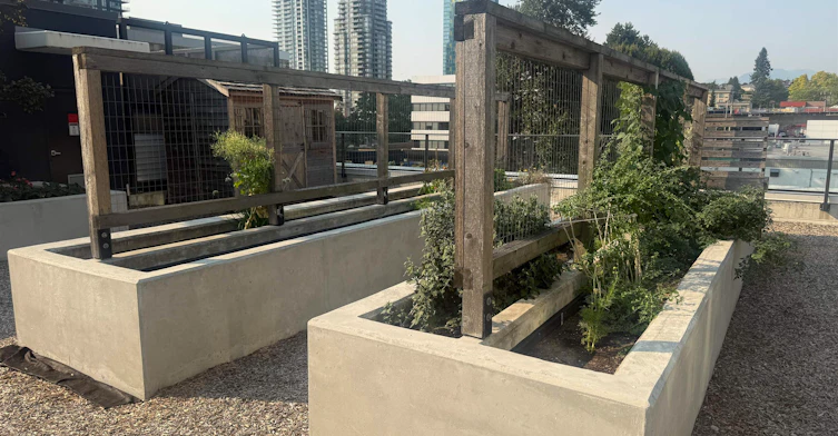 33xx-2181 Madison Avenue, Burnaby, BC, V5C 0N4 - 10