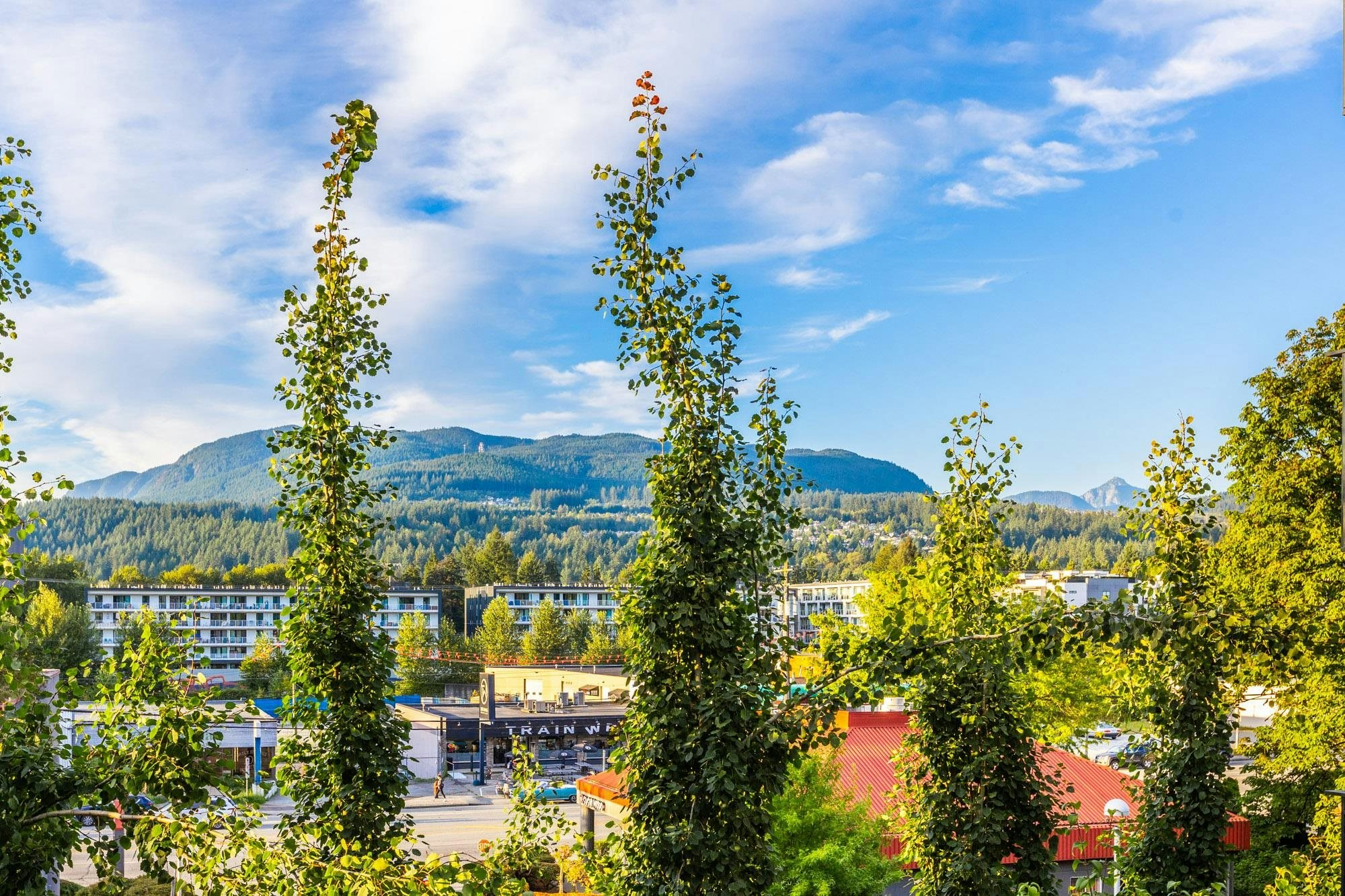 306-3018 St. George Street, Port Moody, BC, V3H 0L4 - 32