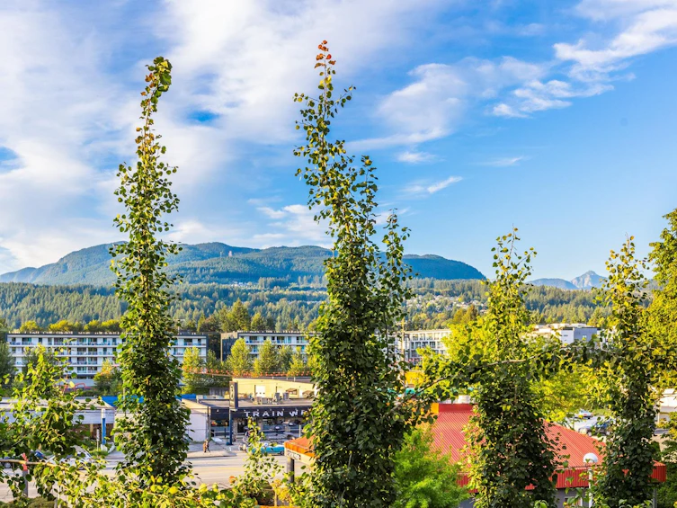 306-3018 St. George Street, Port Moody, BC, V3H 0L4 - 32