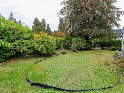 5607 Eagle Harbour Road - 4