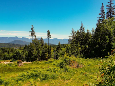 LOT F Panorama Parkway - 4