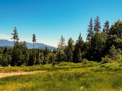 LOT F Panorama Parkway - 2