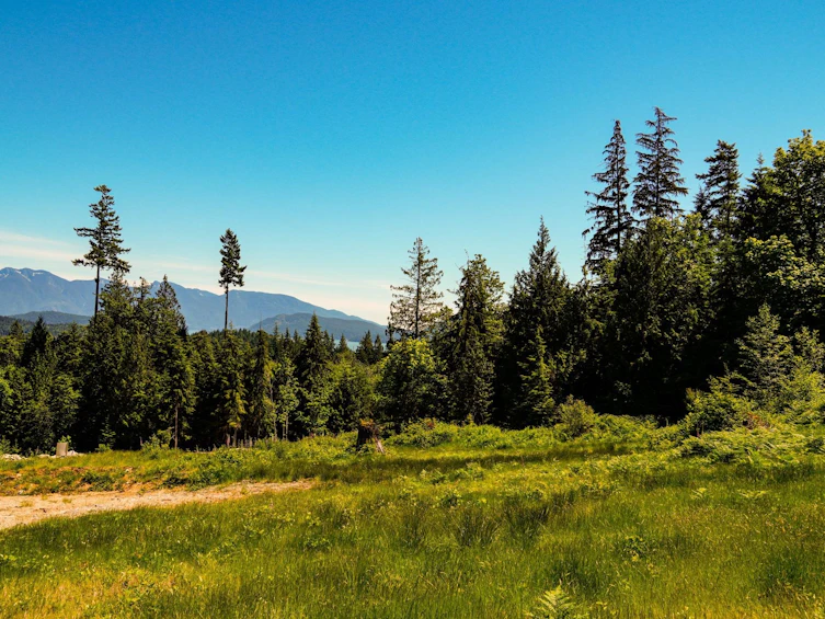 LOT F Panorama Parkway, Gibsons, BC, V0N 1V6 - 2