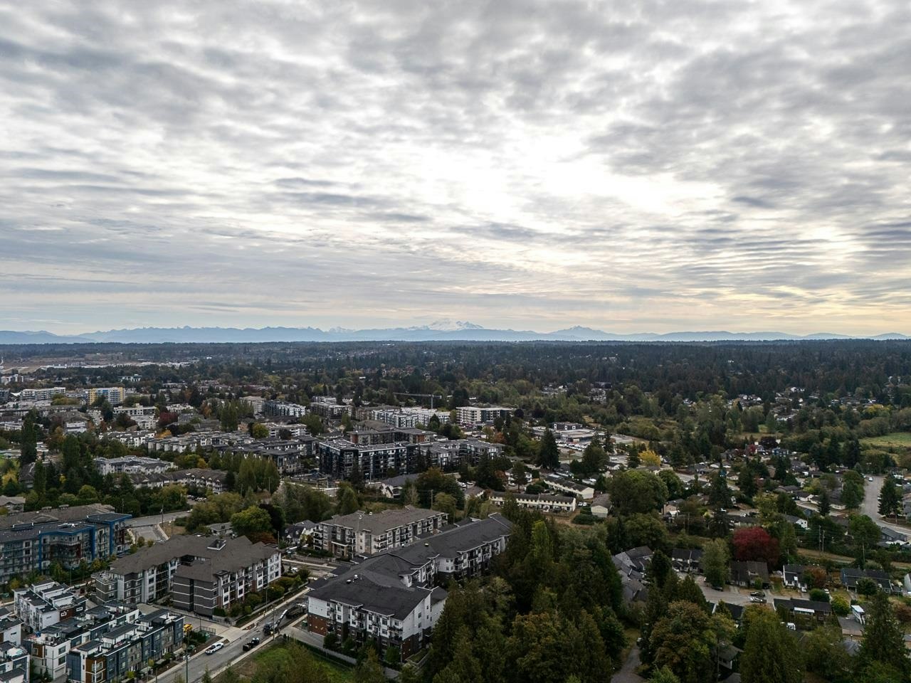 19751 54a Avenue, Langley, BC, V3A 3W4 - 37