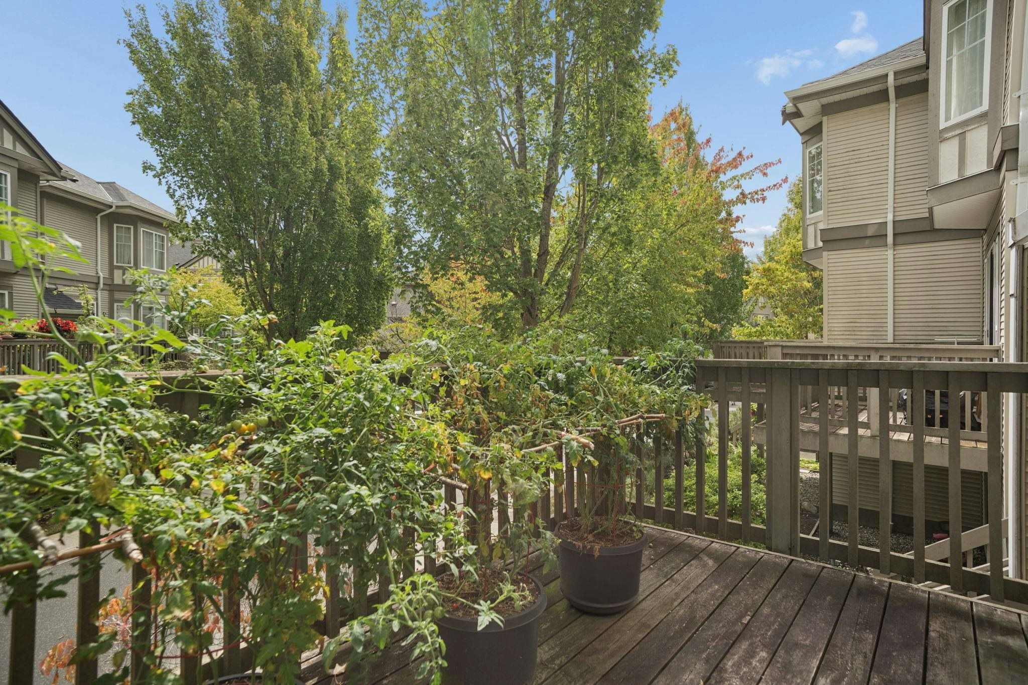 140-3880 Westminster Highway, Richmond, BC, V7C 5S1 - 24