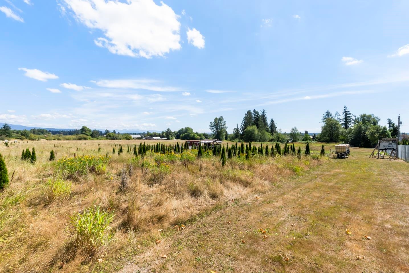 21263 Crush Crescent, Langley, BC, V2Y 2R4 - 9