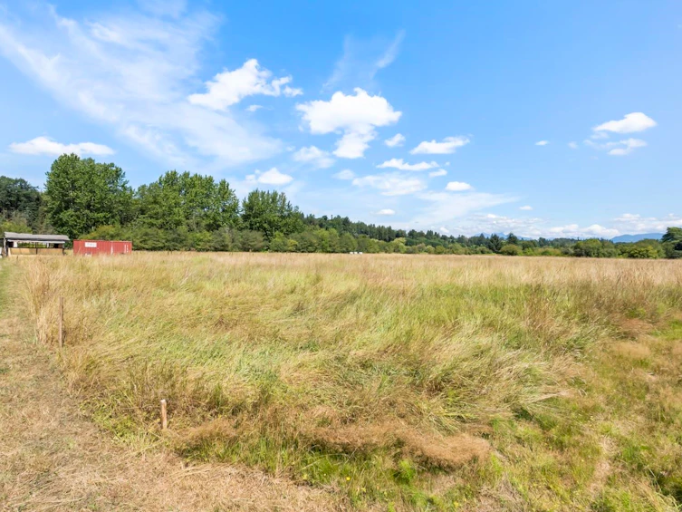 21263 Crush Crescent, Langley, BC, V2Y 2R4 - 7
