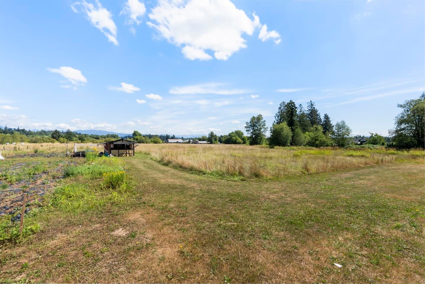 21263 Crush Crescent, Langley, BC, V2Y 2R4 - 8