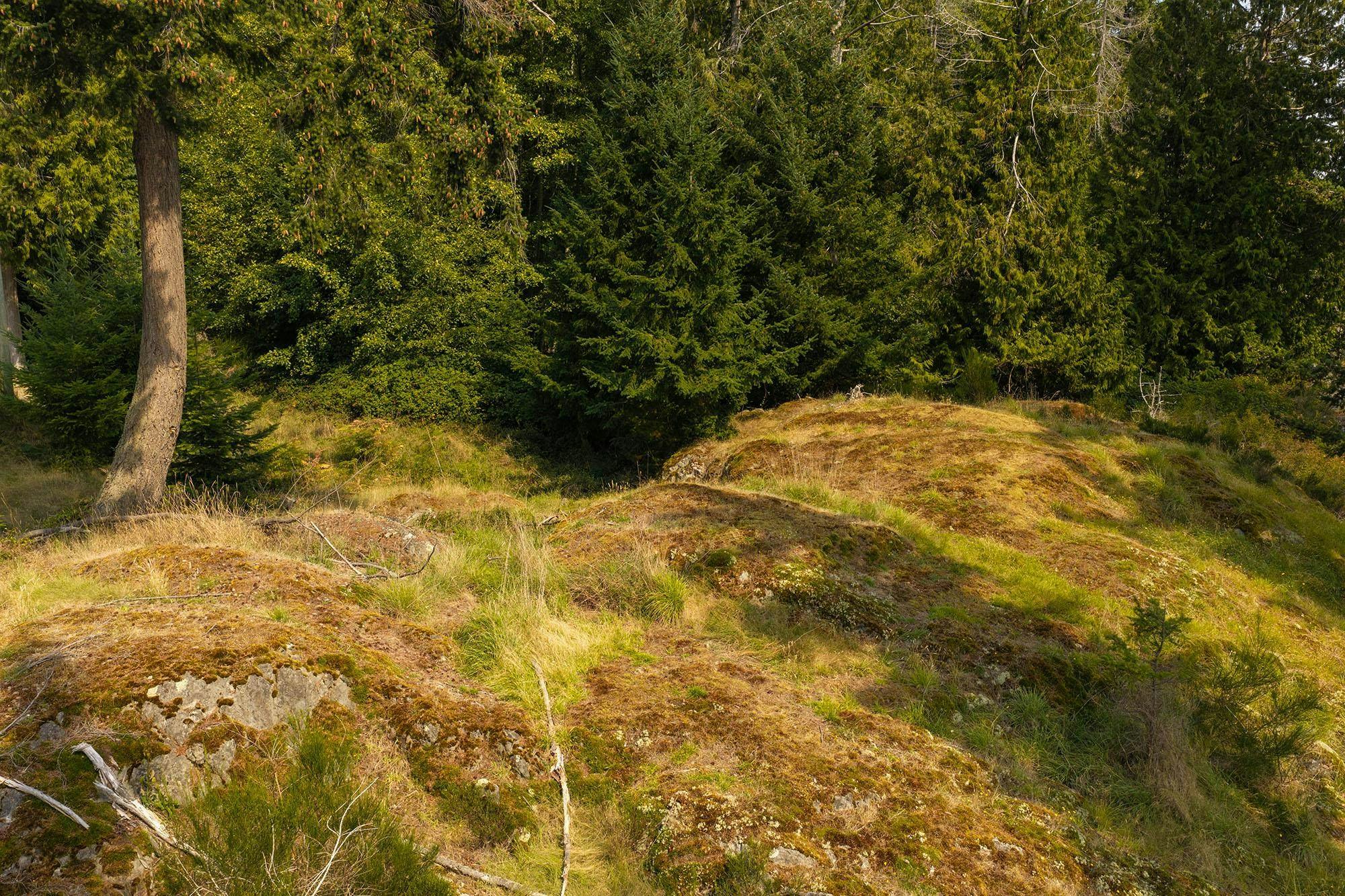 923 Ocean Park Lane, Bowen Island, BC, V0N 1G2 - 17
