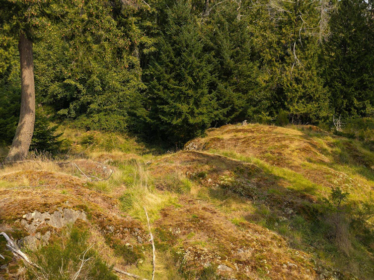 923 Ocean Park Lane, Bowen Island, BC, V0N 1G2 - 17