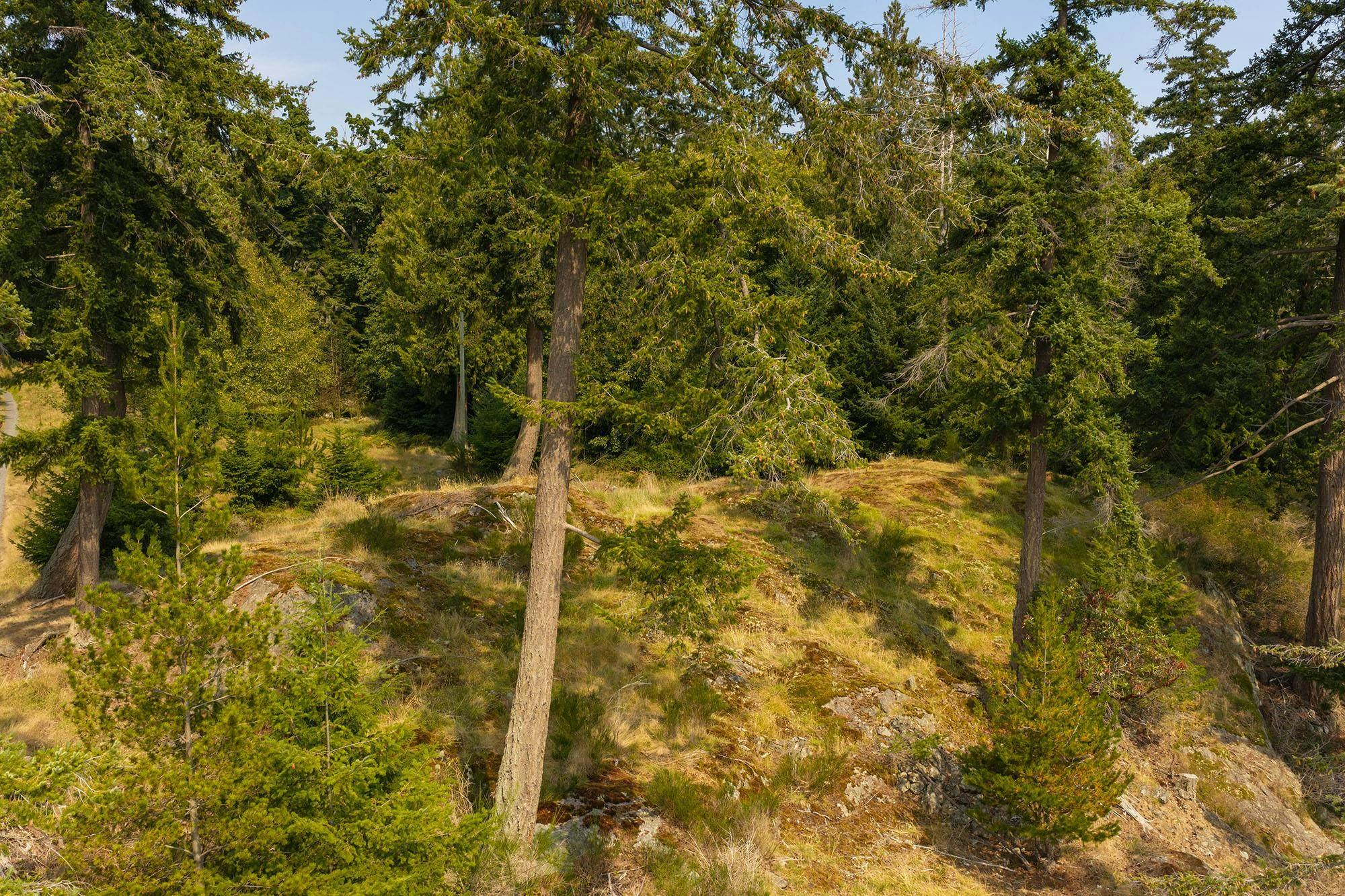 923 Ocean Park Lane, Bowen Island, BC, V0N 1G2 - 15