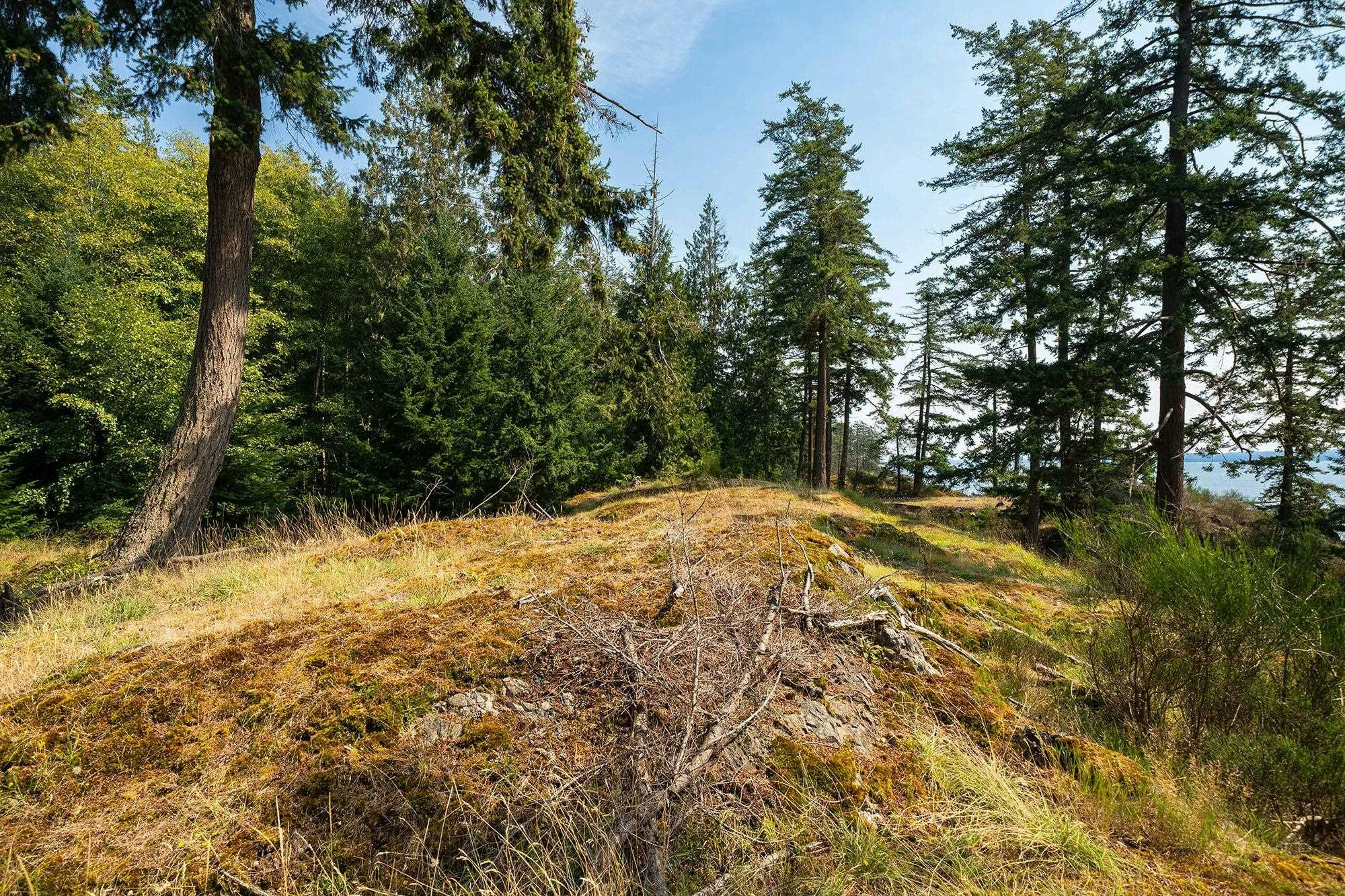 923 Ocean Park Lane, Bowen Island, BC, V0N 1G2 - 20