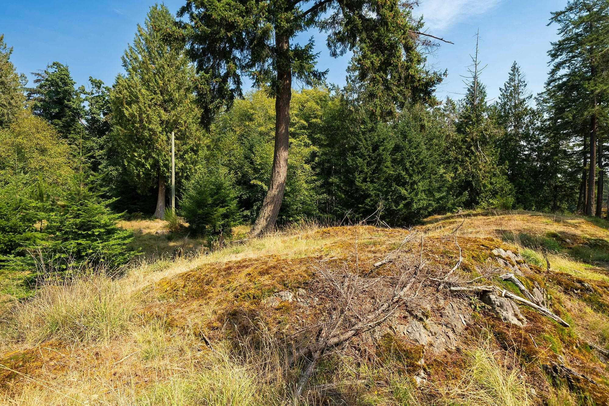 923 Ocean Park Lane, Bowen Island, BC, V0N 1G2 - 19