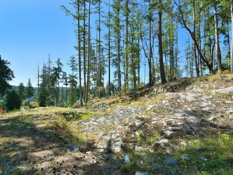 4547 Flagship Road, Pender Harbour Egmont, BC, V0N 1S1 - 25