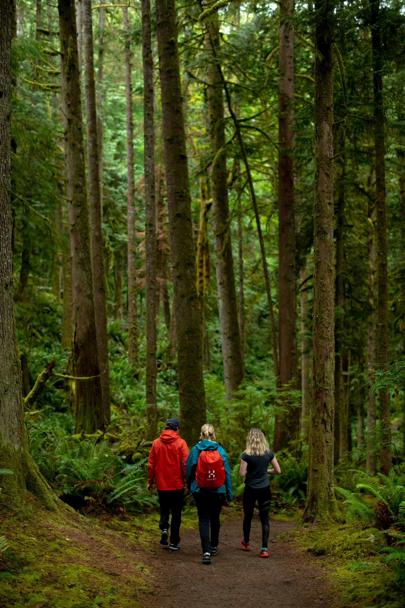 Lot 3 Lower Road, Roberts Creek, BC, V0N 2W4 - 13