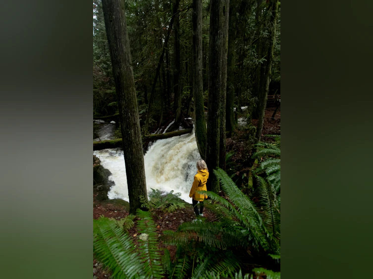 Lot 3 Lower Road, Roberts Creek, BC, V0N 2W4 - 12