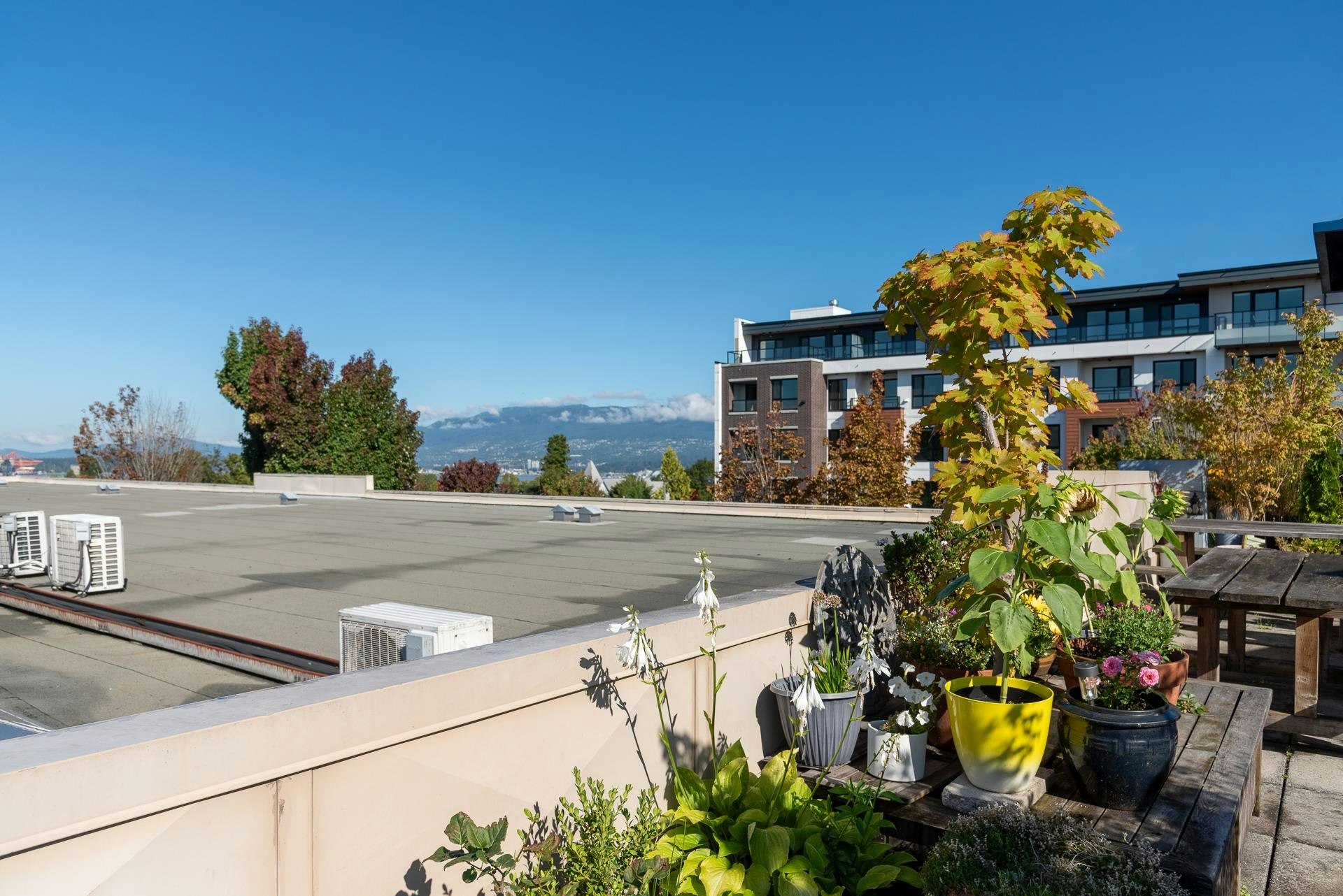L2-2556 E Hastings Street, Vancouver, BC, V5K 1Z3 - 18