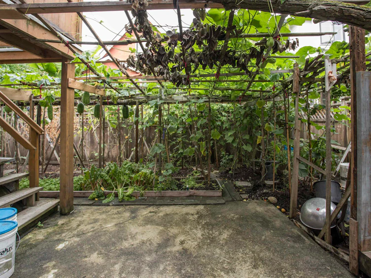2039 Turner Street, Vancouver, BC, V5L 2A2 - 19