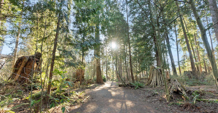 90*-2375 Emery Court, North Vancouver, BC, V7J 0E8 - 33