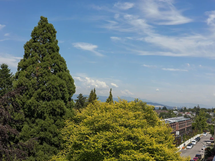 601-4427 Cambie Street, Vancouver, BC, V5Z 2Y8 - 25