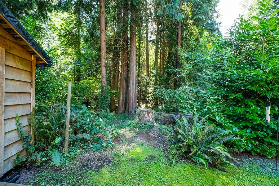 1172 Cedar Grove Road, Roberts Creek, BC, V0N 2W2 - 34