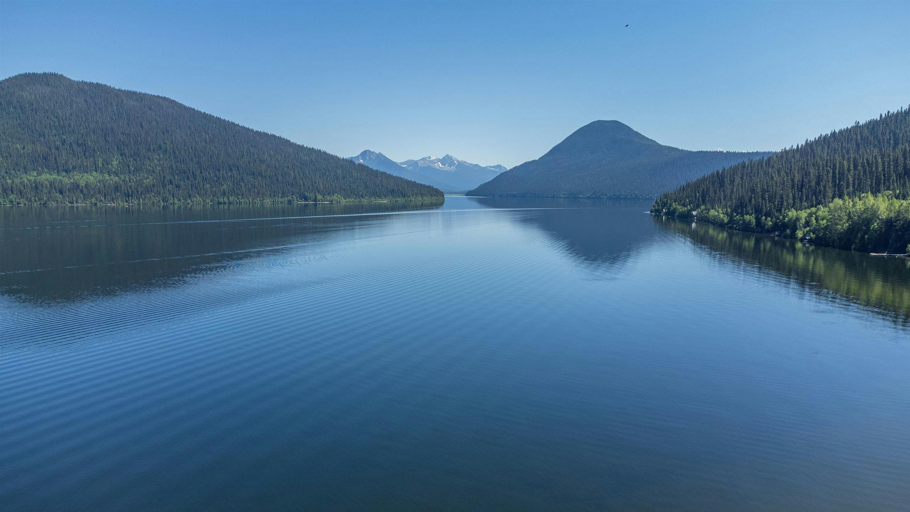 4490 Bowron Lake Road, Wells, BC, V0K 2R0 - 3
