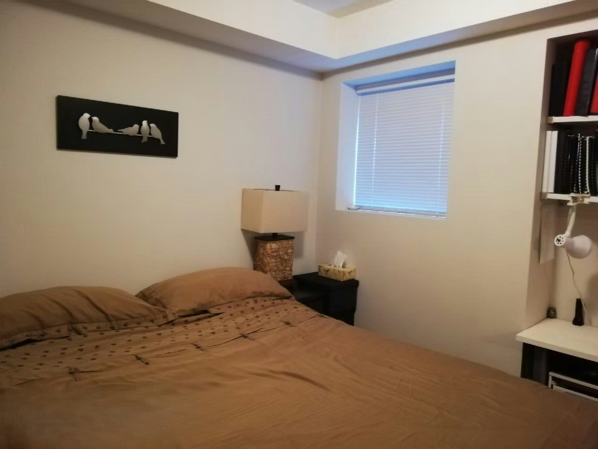 2016 East 7th Avenue Basement Suite, Vancouver, BC, V5N 1S6 - 8