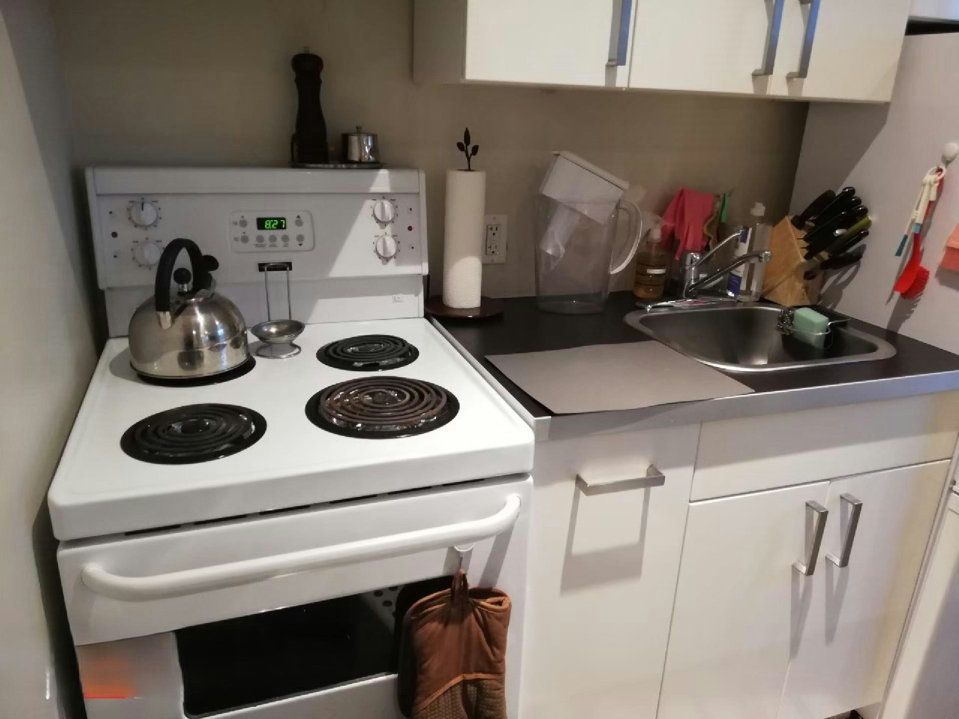 2016 East 7th Avenue Basement Suite, Vancouver, BC, V5N 1S6 - 2